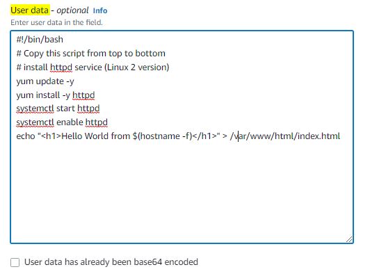 EC2 User Data Script