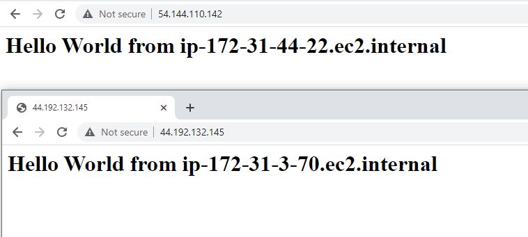 Website check using Public IP